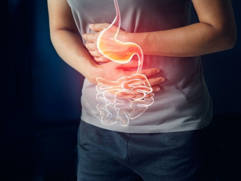 QUAIS SÃO AS PRINCIPAIS DOENÇAS GASTROINTESTINAIS E QUAIS SÃO SEUS TRATAMENTOS?