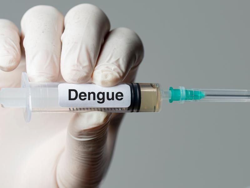 QUAL A DIFERENÇA ENTRE A DENGUE E A COVID-19?