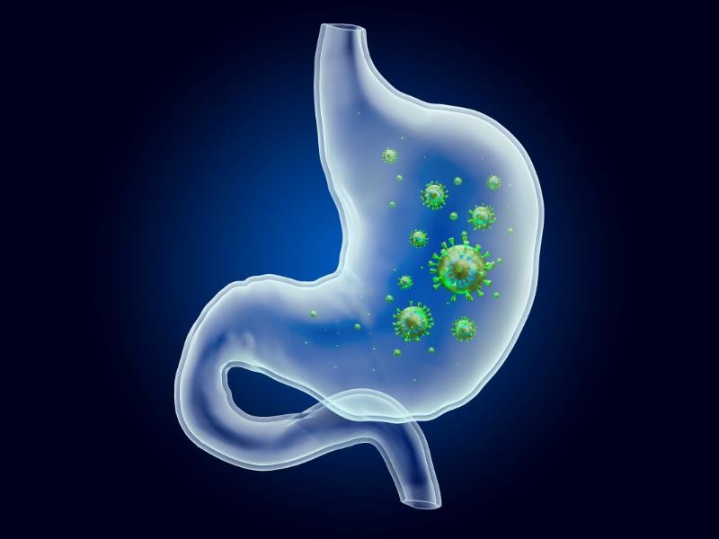 GASTROENTERITE