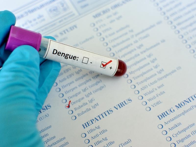 DENGUE: COMO RECONHECER OS SINTOMAS INICIAIS DA DENGUE