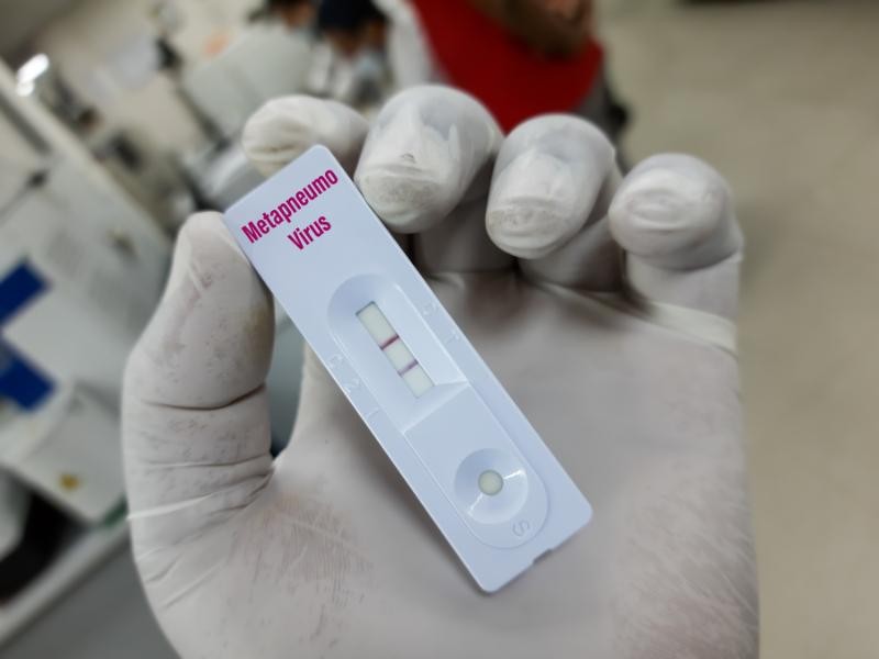 METAPNEUMOVÍRUS: O QUE É, SINTOMAS, TRANSMISSÃO E TRATAMENTO